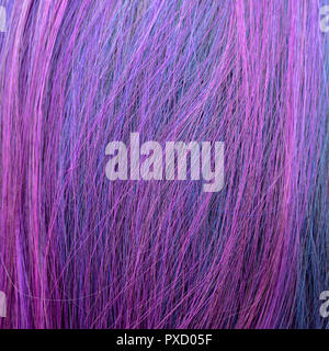 background from blue and pink colored hairs close up Stock Photo