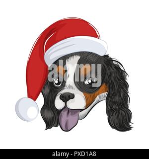 Happy Santa dog panting isolated on white background. Cavalier King Charles Spaniel wears Christmas holiday hat. Stock Vector