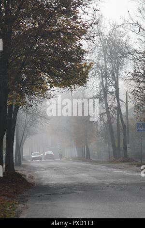 early autumn morning on empty street with milky fog and bright foliage Stock Photo