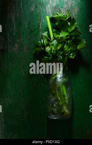 Fresh organic herbs for smuzzy on a dark green background. A bunch of fresh cilantro and parsley. Young leaves on parsley & cilantro branches flat. Pa Stock Photo