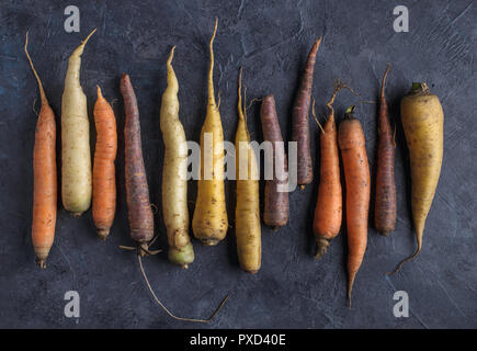 Colorful carrots arrange Stock Photo