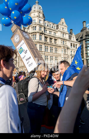 Demonstrators marched along Westminster with signs, banners and dogs to call for a People's Vote on a second Brexit referendum. Amongst them, a dog we Stock Photo