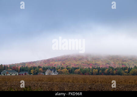 A view of the brilliant and eclectic colors that take over the entire Adirondacks region in New York state of USA during the peak fall season