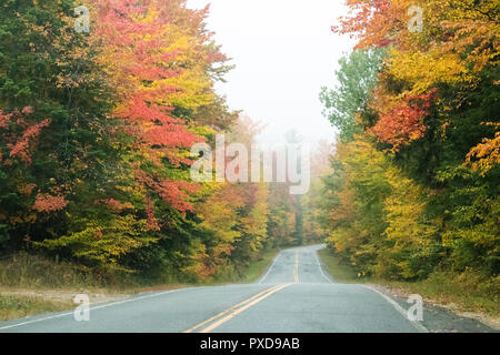 A view of the brilliant and eclectic colors that take over the entire Adirondacks region in New York state of USA during the peak fall season