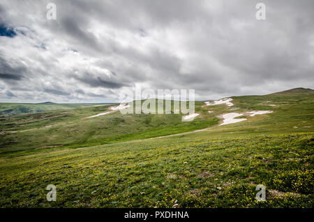 Beautiful tundra along the Beartooth Highway Pass in Monana on a summer day. Snow on the ground in patches Stock Photo