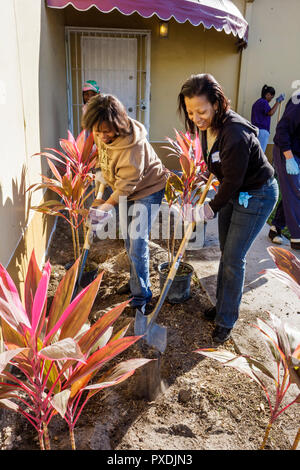 Miami Florida,Liberty City,Square,public housing,neighborhood,Hands On HandsOn Miami,volunteer volunteers volunteering work worker workers,working tog Stock Photo