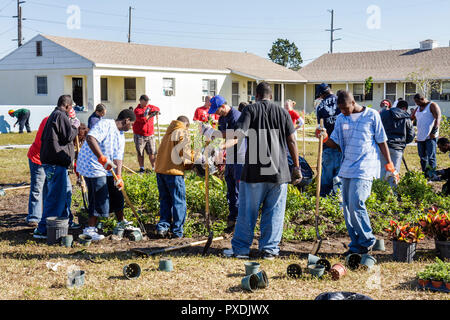 Miami Florida,Liberty City,Square,public housing,neighborhood,Hands On HandsOn Miami,volunteer volunteers volunteering work worker workers,working tog Stock Photo