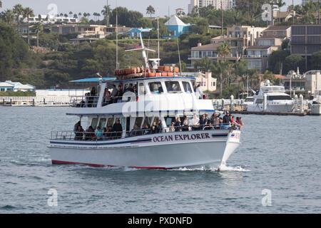 Passengers on the Ocean Explorer whale and marine life watching cruise leaving Newport Beach Harbor California,USA Stock Photo