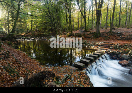 Newcastle,  N.Ireland, 21st October, 2018. UK Weather: Sunny intervals in the afternoon after a grey wet morning.  Lovely afternoon for a walk around Tollymore Forest Park to enjoy the autumn colours. Stepping stones over the River Shimna. Credit: Ian Proctor/Alamy Live News