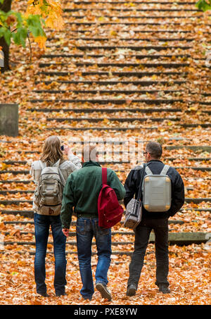 Berlin, Germany. 22nd Oct, 2018. Three men stand near the main station in front of a staircase covered with colourful autumn leaves. Credit: Jens Büttner/dpa-Zentralbild/dpa/Alamy Live News Stock Photo