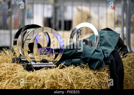 Christchurch, New Zealand - October 5, 2018 - Awards are seen during the National Alpaca Show on October 5, 2018 in Christchurch, New Zealand. | usage worldwide Stock Photo