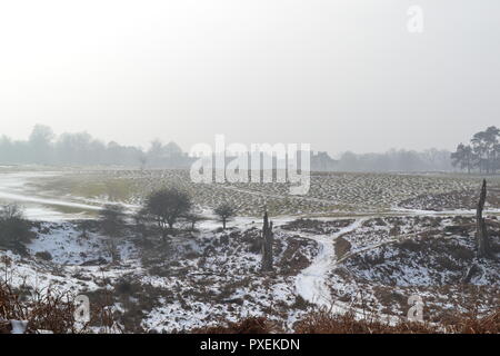 National Trust's Knole Park, Sevenoaks, Kent, England, UK on a snowy, misty day in March 2018. Kent Downs Area of Outstanding Natural Beauty. Stock Photo