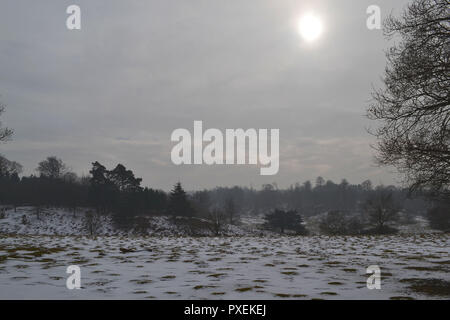 National Trust's Knole Park, Sevenoaks, Kent, England, UK on a snowy, misty day in March 2018. Kent Downs Area of Outstanding Natural Beauty. Stock Photo