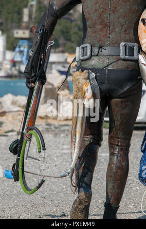 Crop view of scuba diver adult man on a seashore with freshly caught  octopus and spearfishing gear (fins, speargun Stock Photo - Alamy