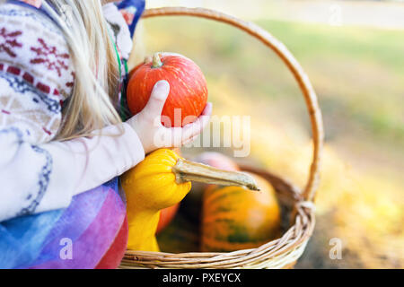 Close-up detail shot of a kid holding pumpkin in hands outdoors Stock Photo