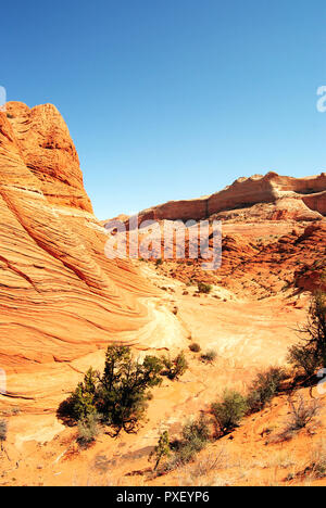 A yellow old butte of sedimentary rocks in the arid desert, with a clear blue sky, in Coyte Buttes, Vermillion Cliffs National Monument, Arizona, USA. Stock Photo