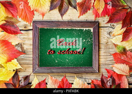 Frame: Back to school Frame from colored autumn leaves and an inscription Back to school on a wooden background. Stock Photo