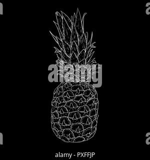 Pineapple. Hand drawn sketch on black background Stock Vector