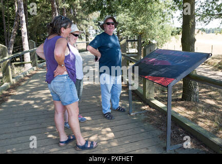 Tourists reading information panel at Sutton Hoo, Suffolk, England, UK Stock Photo