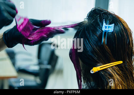 Professional hairdresser dyeing hair. Multicolor Stock Photo