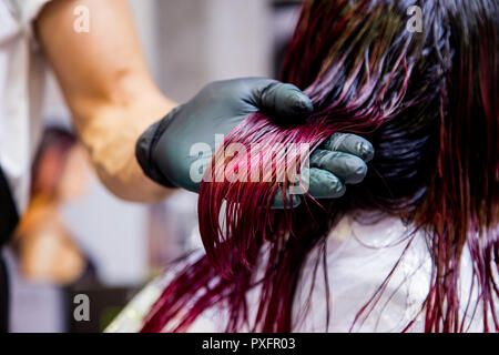 Professional hairdresser dyeing hair. Multicolor Stock Photo