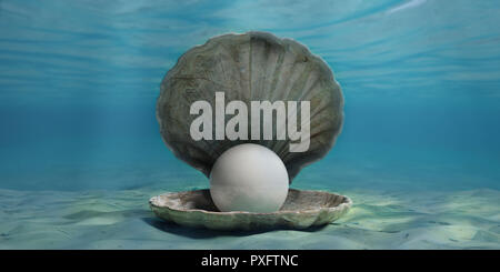 Pearl in an oyster shell in the water, on the seabed. 3d illustration Stock Photo