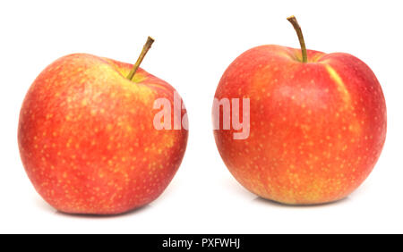 Two red apples isolated on white background Stock Photo