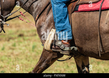 Horse rider with knife and blue jeans. Scenes from a rodeo and equestrian show, warming up phase, details of saddles, clothing, stirrups and brown hor Stock Photo