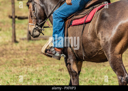 Horse rider with knife and blue jeans. Scenes from a rodeo and equestrian show, warming up phase, details of saddles, clothing, stirrups and brown hor Stock Photo