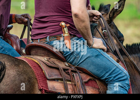 Horse rider with knife and blue jeans. Scenes from a rodeo and equestrian show, warming up phase, details of saddles, clothing, stirrups and brown hor Stock Photo