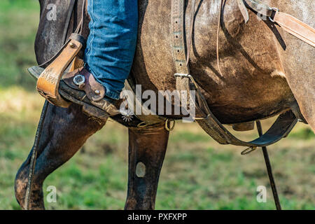 Horse rider with knife and blue jeans. Scenes from a rodeo and equestrian show, warming up phase, details of saddles, clothing, stirrups and brown hor Stock Photo