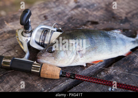 Spinning reel and bait for predatory fish. Fishing tackle on a wooden  background Stock Photo - Alamy