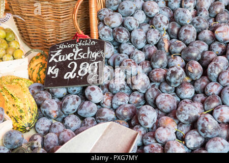 Plums from the Kaiserstuhl area of Germany for sale Stock Photo