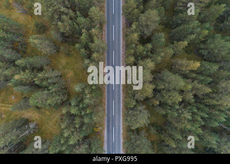 empty road through the pine forest aerial view Stock Photo