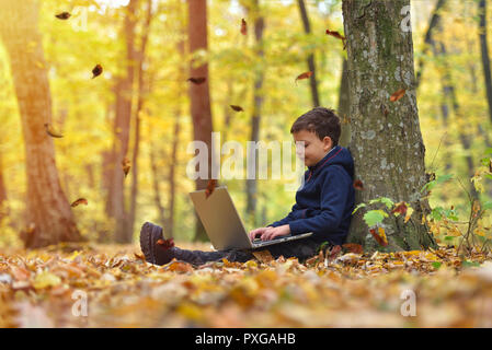Little boy with laptop in forest, autumn colors, sunset warm light Stock Photo