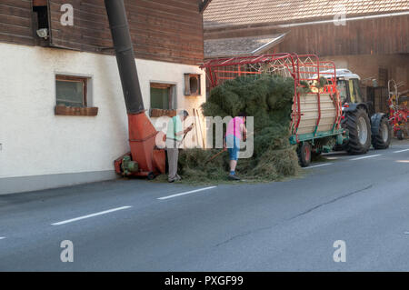 Farmers store fodder in a barn at Imst, a town in the Austrian federal state of Tyrol. It lies on the River Inn in western Tyrol, Stock Photo