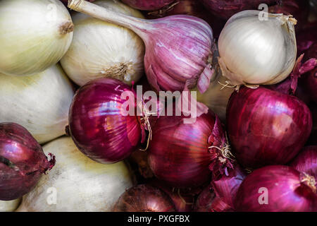 whole bulbs blue and white onions background Stock Photo