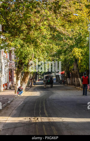 Istanbul, Turkey, November 5, 2010: Tree-lined street on Buyukada, one of the Princes Islands. Stock Photo