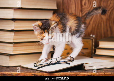 The cat is played with eyepieces lying on the book