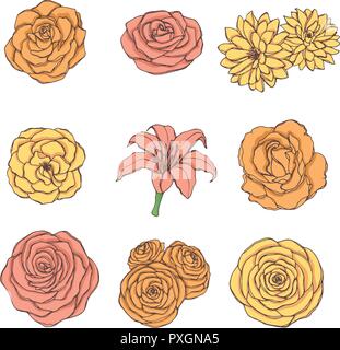 Hand drawn vector set of rose, lily, peony and chrysanthemum flowers in yellow, orange and pink colors isolated on the white background. Vintage flora Stock Vector