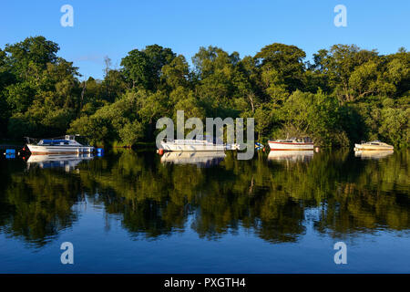 Boats at anchor in evening light on River Leven in Balloch, West Dunbartonshire, Scotland Stock Photo