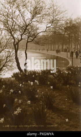 View of the Serpentine, Hyde Park, London - Springtime Stock Photo