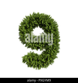 Christmas alphabet ABC digit number 9 nine font. Christmas tree branches digits decoration type. Highly realistic 3d rendering illustration. Character Stock Photo