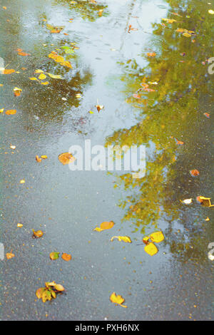 Autumn wet asphalt pavement with puddles, raindrops and yellow leaves after heavy rain Stock Photo