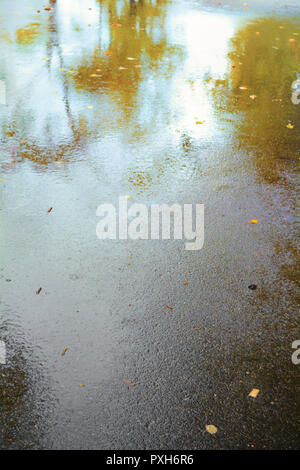 Autumn wet asphalt pavement with puddles, raindrops and yellow leaves after heavy rain Stock Photo