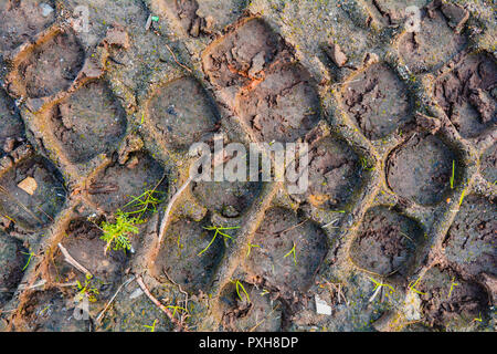 Traces from the tread of car on mud ground. Tire tread on dirt ground with green grass Stock Photo