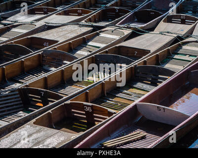 Punt, River Cherwell, University of Oxford Botanic Garden, Oxford, Oxfordshire, England, UK, GB. Stock Photo