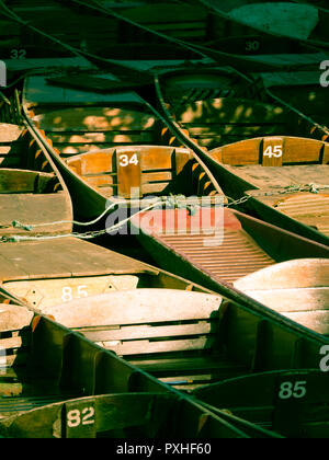 Punt, River Cherwell, University of Oxford Botanic Garden, Oxford, Oxfordshire, England, UK, GB. Stock Photo