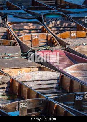 Punt, River Cherwell, University of Oxford Botanic Garden, Oxford, Oxfordshire, England, UK, GB. Stock Photo