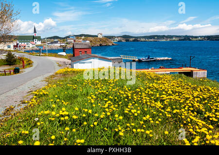 The historic Newfoundland town of Trinity on Trinity Bay near the north of the Bonavista Peninsula. Stock Photo